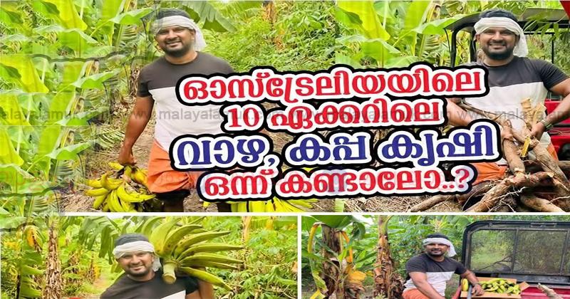 banana talk about farming in malayalam